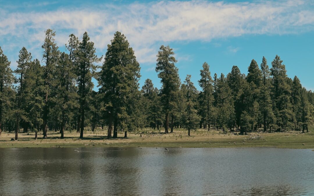 Pinetop-Lakeside, AZ Short-Term Rental Regulations